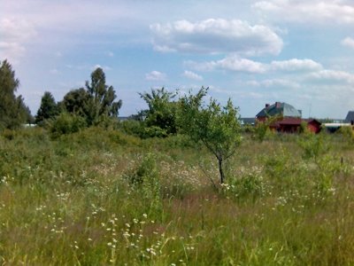 Участок м.о., Чехов, Оксино 68