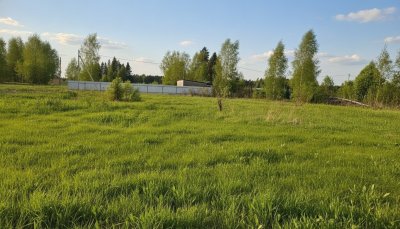 Участок г.о. Солнечногорск, территориальное управление Андреевка
