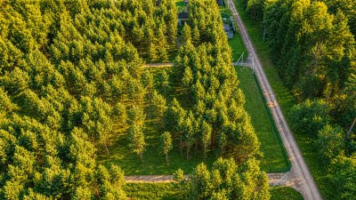 Участок г.о. Ступино, посёлок Сосны Лайф №26