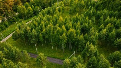 Участок г.о. Ступино, посёлок Сосны Лайф №35