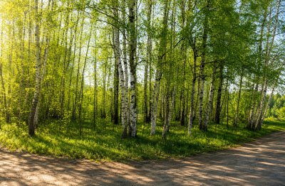 Участок г.о. Богородский, Старая Купавна
