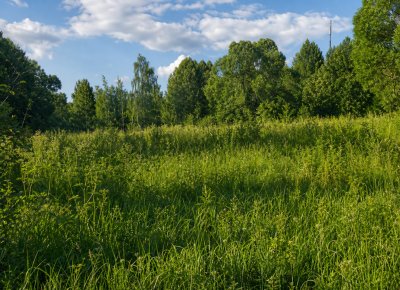 Участок Раменский м.о., Село Степановское