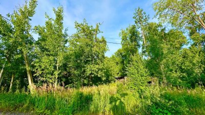 Участок г.о. Одинцовский, п. НИИ Радио/Калининец